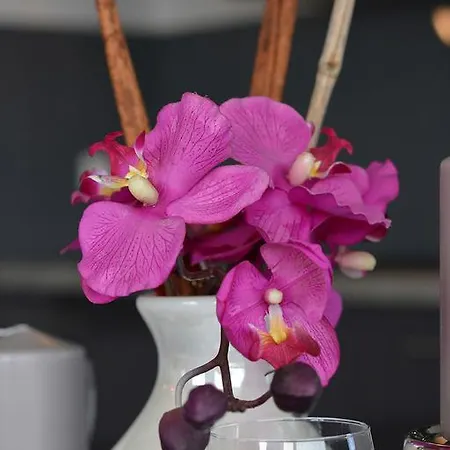 De Charme Cauderan Apartment *